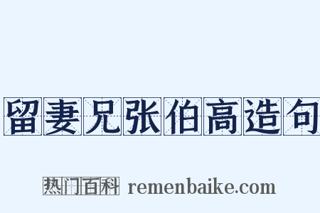 留妻兄张伯高造句是什么意思的图片